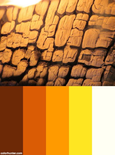 Mayan Fire Foetus Color Scheme from colorhunter.com Ancient Cities, Color Pallets, Interesting Art, Color Scheme, Color Schemes, Color Palette, Art Design, Color, Design