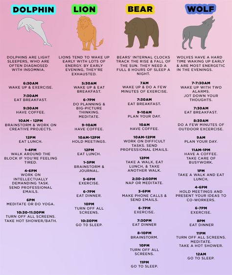 Sleep-animals-chart | The 4 Types Of ‘Sleep Animals,’ And How Knowing Yours Unlocks Your PotentialWhy People Who Sleep Late Are Usually Smarter Dolphin Chronotype Schedule, How To Stop Snoring, 8 Hours Of Sleep, When You Sleep, Stretching Exercises, Sleeping Positions, How To Wake Up Early, Insomnia, Health Problems