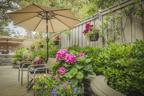 16 Easy Ways to Block a Neighbor's View of Your Yard Outdoor Planter Designs, Hydrangea Varieties, Smooth Hydrangea, Hydrangea Bloom, Backyard Shade, Bamboo Fence, Planting Shrubs, Planting Hydrangeas, Fast Growing Trees