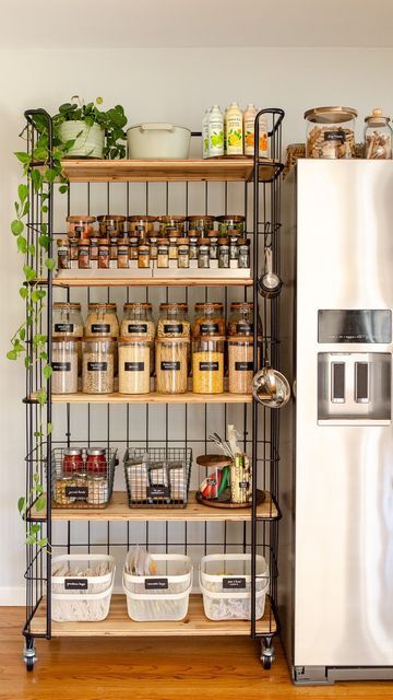 Pantry Cart, Small Galley Kitchen, Pantry Laundry, Food Pantry Organizing, Pantry Cupboard, House Organisation, Kitchen Pantry Storage, Kitchen Pantry Design, Ranch Home