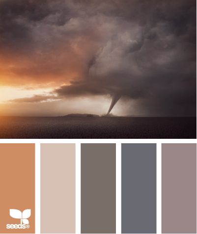 Untitled palette. (I can't find the correct link on Design Seeds, so if you have it, please leave a comment and I'll fix the pin. Thanks.) Color Palate, Design Seeds, Colour Board, Colour Schemes, Color Pallets, Color Swatches, Room Colors, Color Theory, Tornado