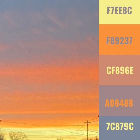 Sunrise color pallette with hex codes. #colorpallete #color #palette #aesthetic #sunrise #sunrisephotography Sunshine Palette, Sun Inspired Color Palette, Sun Color Pallete, Sunrise Pallet, Sunrise Color Palette, Color Palette Sunrise, Sunset Hex Codes, Sunrise Pallete Color, Sunrise Color Palette Mornings