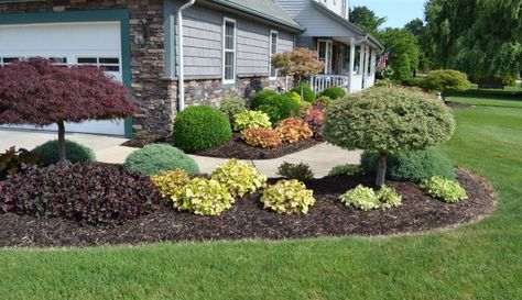 Backyard Trees Landscaping, Island Landscaping, Sidewalk Landscaping, Outdoor Landscape Design, Backyard Trees, Walkway Landscaping, House Landscaping, Front Landscaping, Landscape Plans