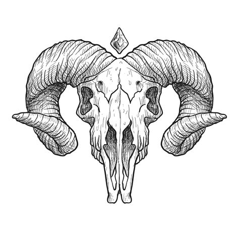 Rosen Tattoo Mann, Animal Skull Drawing, Sheep Horns, Widder Tattoo, Tato Ikan Koi, Sheep Skull, Ram Tattoo, Tier Tattoo, Skull Sketch