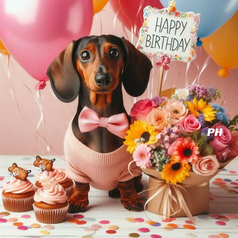 Dog Birthday Wishes, Happy Birthday Dachshund, Happy Birthday Wishes Pics, Birthday Wishes For Her, Dachshund Birthday, Birthday Wishes Pics, Happy Birthday Cat, Happy Birthday Wishes Cards, Birthday Wishes Funny