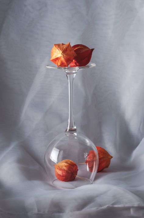 #stilllife #glass #orang #flowers Glass Still Life Photography, Bowl Photography, Glass Still Life, Life Photography, Still Life Photography, Glass Bowl, Still Life, Clear Glass, Bowl