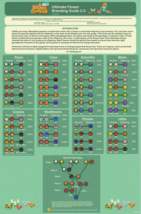 Animal Crossing New Horizons flower breeding guide from u/B19F00T on r/ac_newhorizons Acnh Swamp, Acnh Flowers, Animal Breeding, Ac New Leaf, Animal Crossing Guide, Rose Seeds, Acnh Ideas, Acnh Inspo, Flower Guide