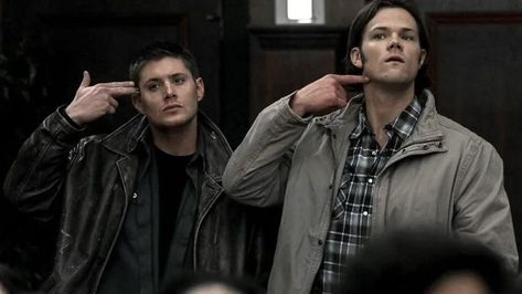 Hamster Dance, Sam Dean, Jared Padalecki, Dean, Carry On, Wallpapers, Tv, Memes, Funny