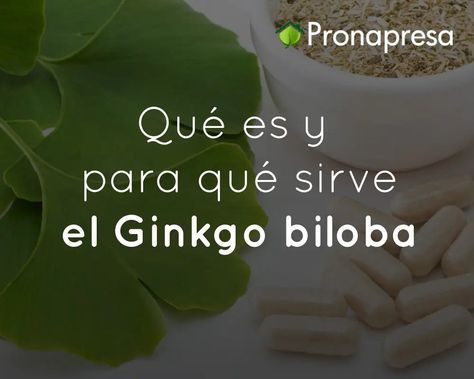 Qué es y para qué sirve el Ginkgo biloba❓🤔 Ginko Biloba, Ginkgo Biloba, China, Art