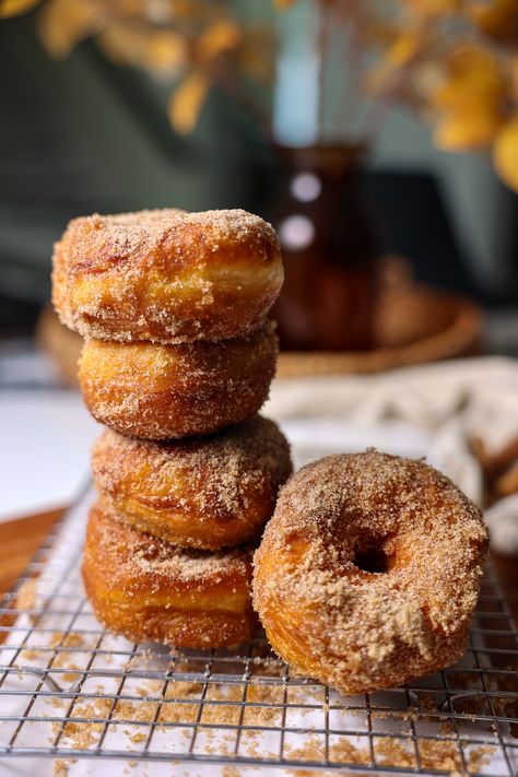 Biscuit Donuts, Sugar Biscuits, Pillsbury Biscuits, Cinnamon Crunch, Seafood Dish Recipes, Cinnamon Sugar Donuts, Quick Treats, Sugar Donut, Favorite Dessert Recipes