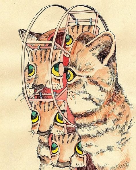 The fabulous surrealism of Shintaro Kago (@shintarokago1969)  #shintarokago1969 #cat #surreal #popsurreal #catsofinstagram #japaneseartist #manga #lowbrow #anime #catsoninsta #lowbrowart #surrealartwork Shintaro Kago, Surreal Artwork, Lowbrow Art, Manga Artist, Wow Art, Hippie Art, Japan Art, Weird Art, Japanese Artists