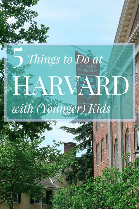 From one of the best museums for elementary school kids I've been to in a while to cool university vibe, here's why you should visit the Harvard campus in Cambridge. Harvard Campus, Boston With Kids, Boston Travel Guide, Luxury Family Travel, Boston Travel, Boston Hotels, Mom Travel, Things To Do At Home, Awesome Food