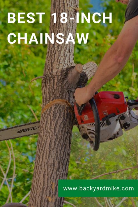 Chainsaw Reviews, Types Of Saws, Gas Chainsaw, Electric Chainsaw, Just Imagine, Small Engine, Off Grid Living, Small Trees, The Money