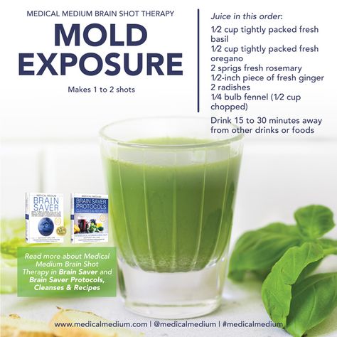 Medical Medium Zinc Shock Therapy, Mold Detoxing, Mold Diet, Medical Medium Recipes, Mm Recipes, Brain Shot, Medical Medium Anthony William, Juice Shot, Mold Illness