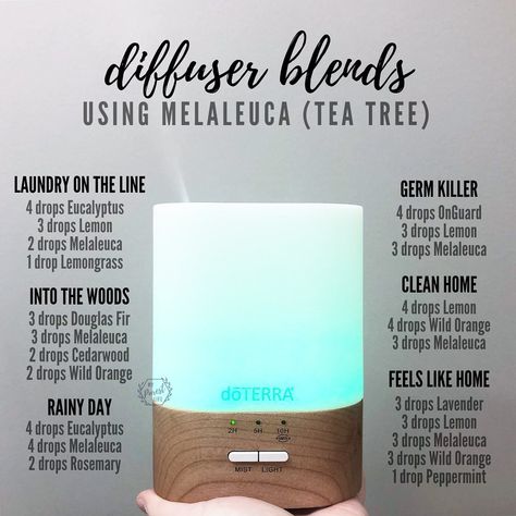 Tea Tree Essential Oil Diffuser Blends, Tea Tree Essential Oil Blends, Fresh Diffuser Blends, Dottera Oils, Melaluca Products, Hippie Juice, Melaleuca Essential Oil, Homemade Essential Oils, Doterra Diffuser Blends