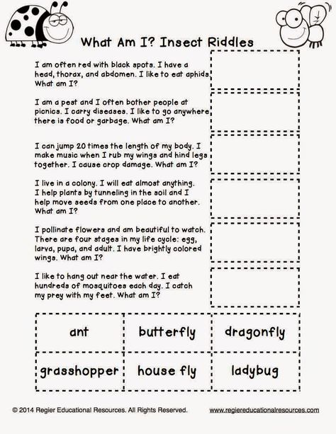 Insects Worksheets For Kids, Nature Worksheets For Kids, Insect Worksheet, Bugs And Insects Activities, What Is An Insect, Insect Games, Insects Activities, Insects For Kids, Zoom Activities