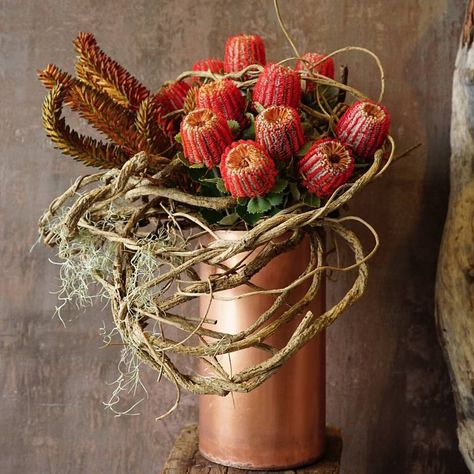 Banksia Coccinea #flowerarrangement #bouquet #flowers #native #banksia #banksiacoccinea #orange #vine #tillandsia #design #budsandbowers… | Instagram Banksia Coccinea, Website Ideas, Ikebana, Matrix, Banks, Floral Arrangements, Orange, Flowers, Floral