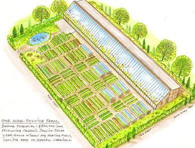 Grow enough food to feed your family on one acre Homestead Layout, Greenhouse Farming, Garden Layout Vegetable, Farm Plans, Farm Layout, Garden Plan, Pergola Design, Wooden Greenhouses, Food Production