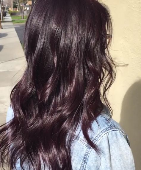 Dark Hair Violet Undertone, Dark Brown Purple Hair Burgundy, Blackberry Brunette Hair, Light Violet Hair Color, Black Reddish Hair, Dark Brown Plum Hair, Chocolate Lavender Hair Color, Subtle Dark Red Hair, Purple Toned Brown Hair