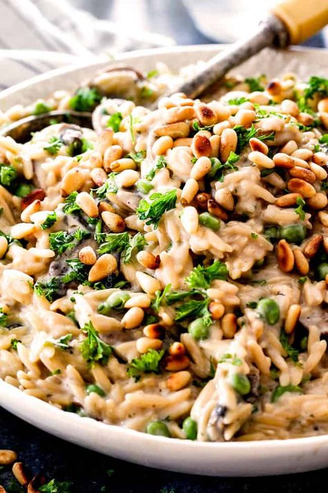 25 Minute Creamy Orzo Mushroom Pasta in Asiago Thyme Sauce Creamy Orzo Pasta, Cheesy Orzo, Orzo Pasta Recipes, Creamy Orzo, How To Cook Orzo, Carlsbad Cravings, Orzo Recipes, Orzo Pasta, Mushroom Pasta