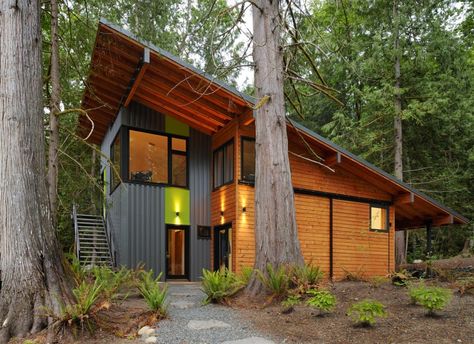 North Bend House / Johnston Architects A House In The Woods, Shed Roof Design, Modern Mountain House, Skillion Roof, Modern Shed, Amazing Homes, Container Houses, Contemporary Exterior, Shed Roof