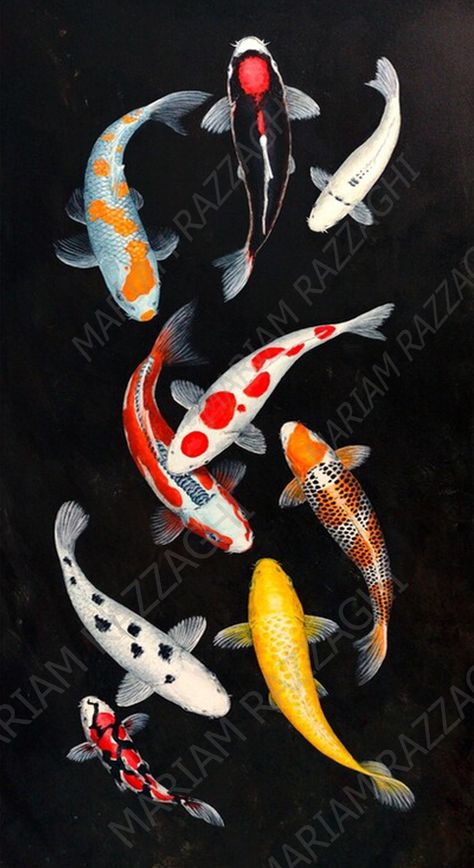 Koi painting 50 x 1 00 cm. Nine colourful patterned koi fish painted against an almost black background. For Feng Shui practitioners a 9 koi fish painting in the home is believed to bring prosperity and good fortune... this should include one black koi to take the bad luck away. The painting was designed to express the graceful movement of the swimming fish whether it is hung vertically or horizontally. Koi Wallpaper, Koi Fish Colors, Karp Koi, Koi Fish Painting, Koi Painting, Koi Fish Drawing, Lucky Wallpaper, Koi Art, Koi Fish Tattoo