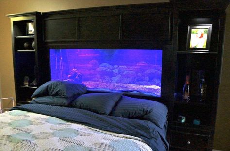 Aquarium Headboard Wall Aquarium, Diy Fish Tank, Above Bed, Home Decor Items, Wall Shelves, Headboards For Beds, Modern Decor, Wall Design, Living Room Decor