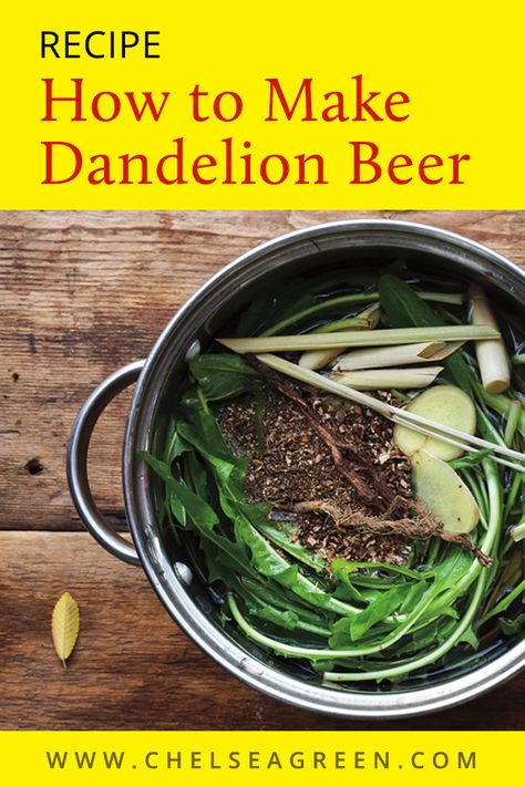 Beer Benefits, Health Tricks, Wine Yeast, Chelsea Green, Beer Recipe, Moonshine Recipes, Healthy Recipes Easy Snacks, Natural Drinks, Dandelion Recipes