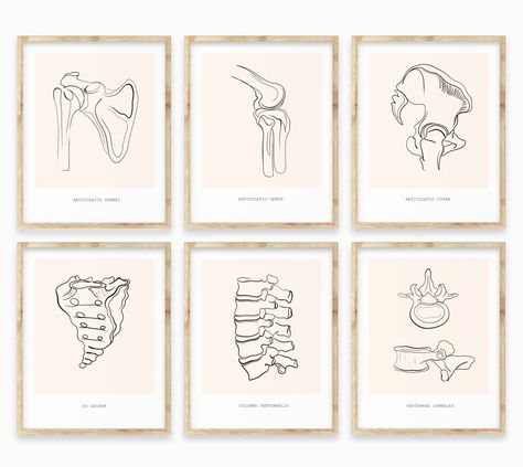 Chiropractic Art Ideas, Anatomy Prints Wall Art, Anatomy Posters Decor, Clinic Design Poster, Chiropractic Wall Art, Physiotherapy Art Poster, Physical Therapy Art, Osteopathy Art, Physiotherapy Poster