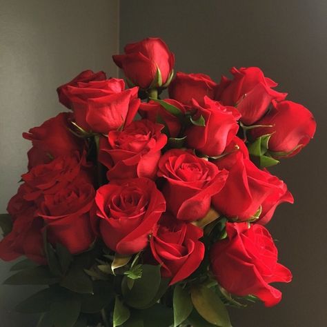 Flowers 🌺 on Twitter: "… " Rose Belle, Rose Rouge, Luxury Flowers, Red Aesthetic, Love Flowers, San Valentino, Beautiful Roses, Pretty Flowers, Flower Power