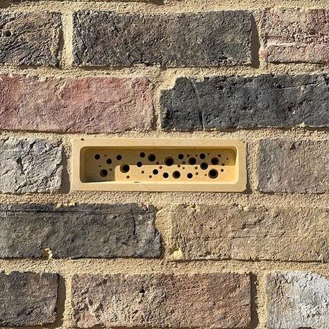 We absolutely love this shot of the yellow Bee Brick from the Green&Blue range.  If you’re keen to achieve something similar then check out the blog on our website for our weekend project Recycled Concrete, Bee Houses, Bee Friendly Garden, Solitary Bees, Concrete Bricks, Nature Friendly, Nesting Boxes, Yanko Design, Architect Design