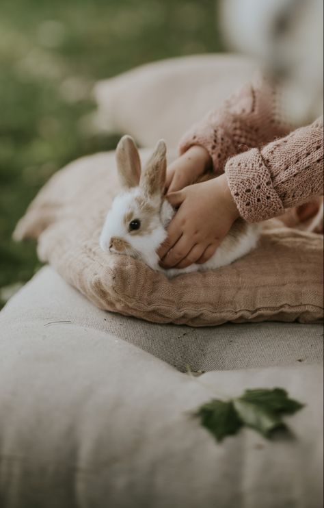 Coffee Palette, Easter Photos, Rabbit Baby, Animal Photo, Country Life, Animals Friends, Beautiful Creatures, Rabbits, Farm Animals