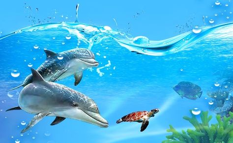 Delfines Dolphin Images, Dolphin Art, Live Backgrounds, Screen Savers Wallpapers, Under The Sea Theme, Beautiful Sea Creatures, Owl Pictures, Killer Whale, Rainbow Wallpaper