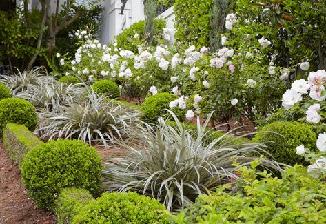 Garden Ideas Nz, Clay Soil Plants, Native Plant Landscape, Garden Ideas Cheap, Video Garden, Casa Exterior, Native Garden, Traditional Landscape, Garden Landscape Design