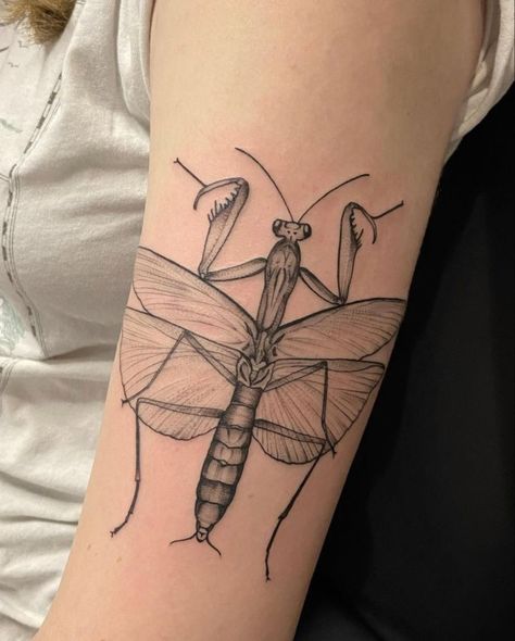 Insect Leg Tattoo, Praying Mantis Leg Tattoo, Leaf Insect Tattoo, Bug Patchwork Tattoo, Tattoo Ideas Bugs, Absurdist Tattoo, Pray Mantis Tattoo, Leaf Bug Tattoo, Prey Mantis Tattoo