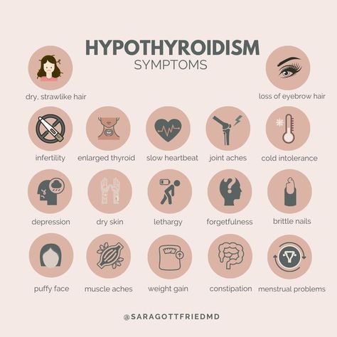 Sara (Gottfried) Szal M.D. on Instagram: "Conventional physicians often respond with skepticism and derision to people who earnestly ask for thyroid help so I want to help you understand your thyroid and the numbers.  When you have low thyroid function, you make more thyroid-stimulating hormone (TSH).  TSH is not made in your thyroid, it’s made in your pituitary gland in your brain.  When your thyroid gland is not making enough thyroid hormone, your brain senses it. Your hypothalamus tells the pituitary to crank out more TSH and whip that thyroid into shape by stimulating greater production of thyroid hormones.  As a result, the hormone factory in the thyroid manufactures more thyroid hormones, which are then sensed by the brain.  Often the thyroid will adjust sufficiently, and TSH settles Enlarged Thyroid, Sara Gottfried, Thyroid Imbalance, Low Thyroid, Pituitary Gland, Thyroid Function, Thyroid Gland, Thyroid Hormone, Muscle Aches