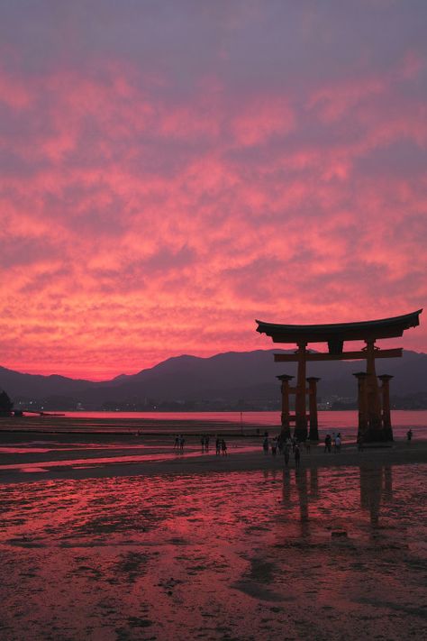 Japanese Torii, Miyajima Island, Japan Holidays, Monte Fuji, Kobe Japan, Torii Gate, Shinto Shrine, Japanese Zen, Japan Aesthetic