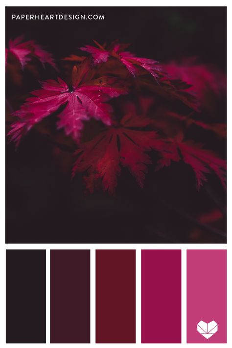 Purple And Red Color Scheme, Color Palette Wine Red, Red Violet Color Palette, Colours That Go With Red, Wine Red Color Palette, Purple Red Color Palette, Purple And Red Color Palette, Wine Colour Palette, Red Wine Color Palette