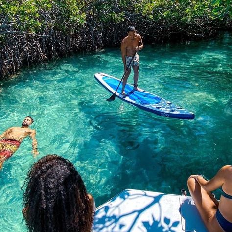 Exploring Cayo Icacos, an Uninhabited Island Gem | Discover Puerto Rico Bioluminescent Bay, El Yunque National Forest, Puerto Rico Trip, Mangrove Swamp, Uninhabited Island, Hidden Beach, Paddle Board, Caribbean Sea, San Sebastian