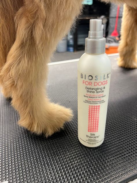 By far one of my favorite brushing and tangle spays. It's my favorite for super soft coated dogs. Best detangler for dogs with natural ingredients that minimizes the stress of dog brushing by reducing pulling of matted areas. Simple to use after a bath and in between baths to keep your dog’s fur smooth and free of matts. Luxurious dog detangler Spray that leaves your dog’s Fur shiny, soft, and smelling fresh. No parabens, pH balanced for dogs. Detangler For Dogs, Best Detangler, Detangling Spray, Silk Therapy, Animal Supplies, Detangler Spray, Small Animal Supplies, Dog Brushing, All Dogs