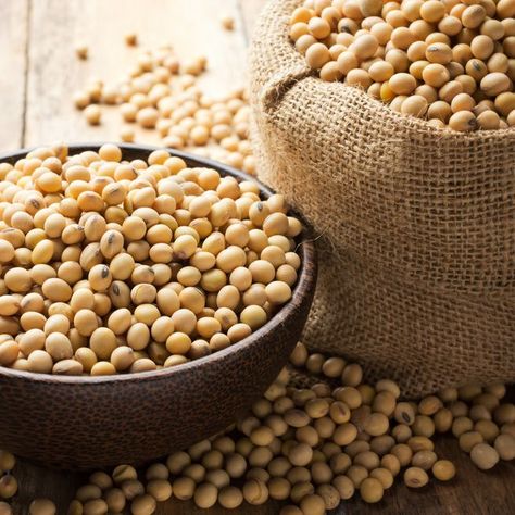 Healthy Beans, Soy Beans, Mogok, Soya Bean, Trading Tips, Soy Products, Soy Protein, Isolate Protein, Anti Aging Ingredients