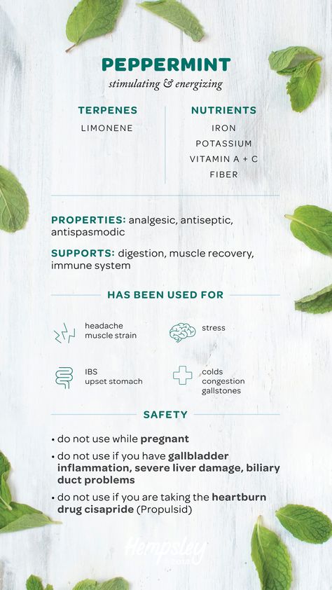 Peppermint Spiritual Uses, Peppermint Herb Uses, Peppermint Magical Properties, Peppermint Herb, Medicine Garden, Potassium Vitamins, Medical Herbs, Preventive Medicine, Herbal Apothecary