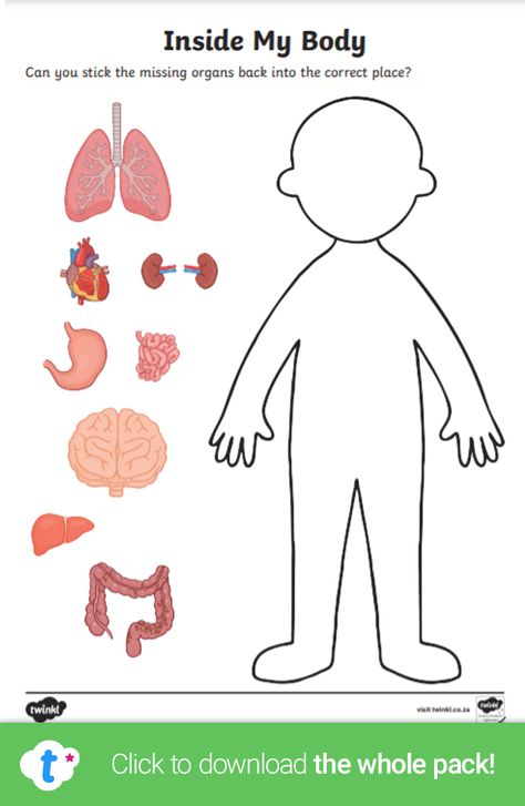 Explore the human body with this informative worksheet! Children can cut the different human body organs and put them in the right place on the body template - answer sheet included! Click to download and find more 'My Body' teaching resources over on the Twinkl website. #humanbody #mybody #organs #teachingresources #teachingideas #biology #twinkl #twinklresources #parents #homeschooling #homeeducation #worksheet Organs Activities For Preschool, Human Body Craft For Preschoolers, My Body Kids Activities, Human Body Craft Preschool, Inside My Body Preschool, Human Body Worksheets Free Printable, Our Body Activities For Preschool, Free Human Body Printables, Human Body For Preschool