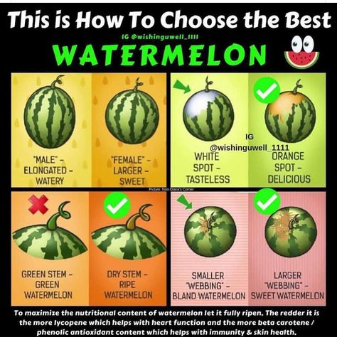 How To Choose Watermelon, Watermelon Meme, Watermelon Facts, How To Grow Watermelon, National Watermelon Day, Watermelon Day, Watermelon Plant, Green Watermelon, Sweet Watermelon