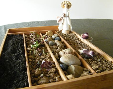 the parable of the sower visual lesson - This was done in a silverware tray! Parable Of The Sower, Bible Object Lessons, Godly Play, Silverware Tray, Bible Story Crafts, Preschool Bible, Kids Bible, Childrens Bible, Church Crafts