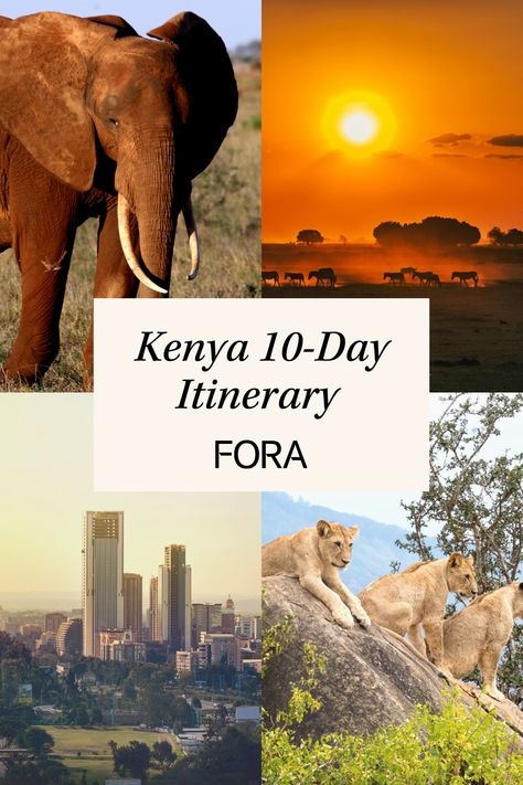 Explore the best that Kenya has to offer with this ultimate 10-day itinerary. This guide will help you soak in stunning views of abundant wildlife, like elephants and giraffes, while also giving you all the tips on Kenya's best landscape backdrops. Find out how to pay the same (no, really!) and get WAY more for your budget when you have a Fora advisor plan your weekend trip to Kenya at foratravel.com. Kenya Itinerary, Travel Agent Career, Africa Travel Guide, Best Landscape, Kenya Travel, Sea Resort, Us Travel Destinations, Dream Travel Destinations, Weekend Trip