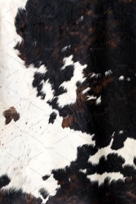 Cow skin Pattern texture black white by gavayec on @creativemarket Cow Hide Wallpaper, Cow Print Iphone Wallpaper, Cowhide Wallpaper, Hide Wallpaper, Cow Texture, Wallpaper Country, Stone Park, Cow Print Wallpaper, Western Artwork