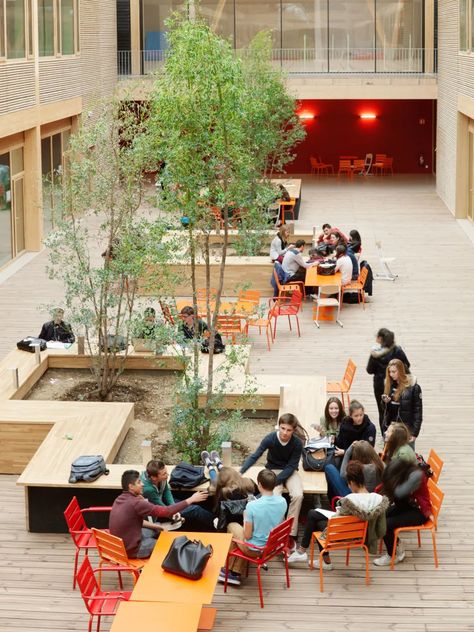 Francois Leclercq, Cyrille Weiner, Takuji Shimmura · Lycée International Nelson Mandela · Divisare Library Cafe, Outdoor Gathering Space, Public Space Design, Cafe Terrace, Areas Verdes, Public Seating, Outdoor Cafe, Hospital Design, Patio Interior