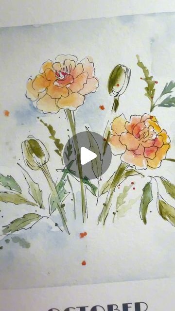 Seema on Instagram: "October birth flower - Marigold 
Painted on watercolor calendar 2025 from @grabieofficial Available on their website.

#reels #reelsinstagram #reelsvideo #reel #letsgrabie #loosewatercolorpainting 
#watercolortutorial #artistsoninstagram #artinspiration 
 #watercolorartist #loosewatercolors #marigold #october #octoberbirthflower #loosewatercolorpainting #botanicalart #botanicalpainting #watercolorart #artist #painting #loosepainting #loosepaintingstyle #howtopaint 
#howtopaintflowers" Marigold Flower Watercolor, Birth Flower Watercolor, Flower Marigold, October Birth Flower, October Birth Flowers, Loose Watercolor Paintings, Watercolor Calendar, Marigold Flower, Flower Watercolor