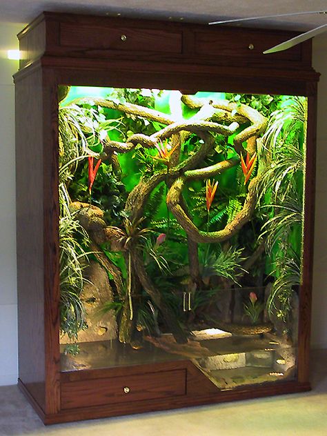 Snake Tanks, Iguana Cage, Chameleon Care, Chameleon Cage, Pet Enclosures, Tropical Desert, Snake Cages, Hermit Crab Tank, Diy Reptile